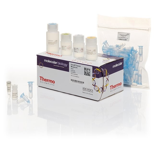 Набор GeneJET Plasmid Miniprep для выделения плазмидной ДНК из бактерий, Thermo FS