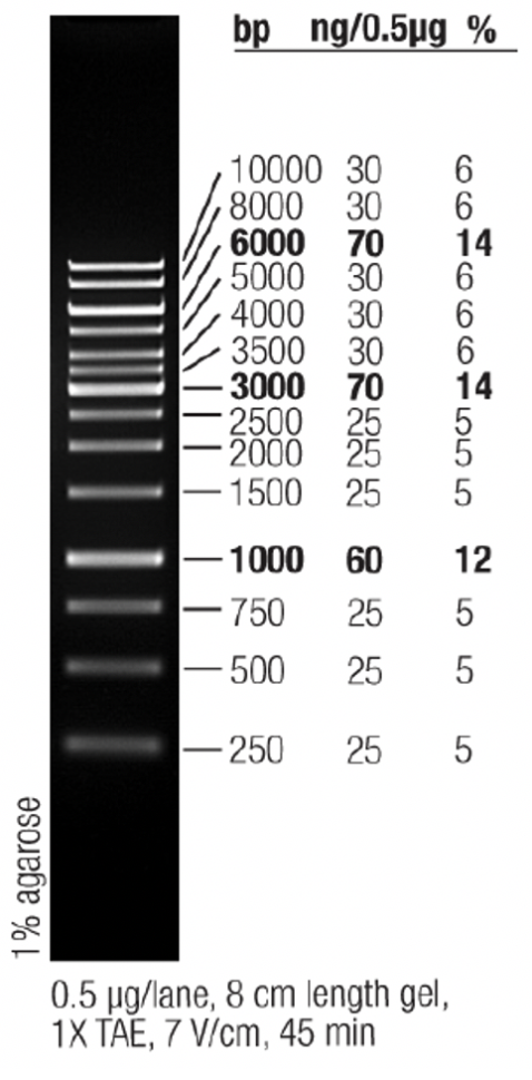 Маркер длин ДНК GeneRuler 1 kb, 14 фрагментов от 250 до 10000 п.н., готовый к применению, 0,5 мкг/мкл, Thermo FS