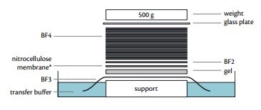 Фильтры бумажные для блоттинга, 0,50 мм, 480х480 мм, 50 шт./уп., Ahlstrom (Munktell)