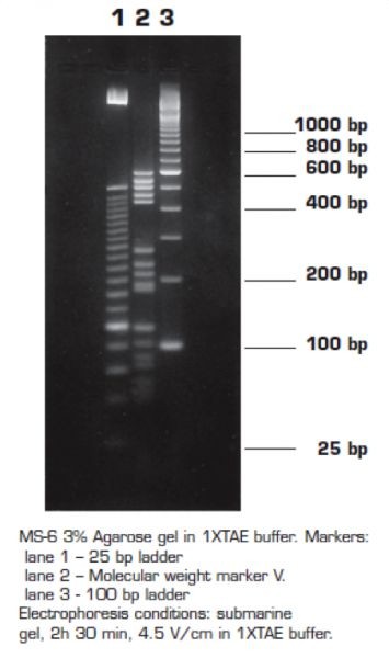 Агароза, низкий EEO, MS-6, Molecular Screening, повышенная четкость разделения фрагментов 150-750 п.н., diaGene