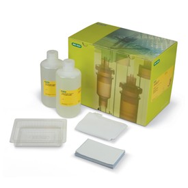 Набор для быстрого блоттинга Trans-Blot Turbo RTA Transfer Kit, Midi, PVDF, 40 Blots, Bio-Rad