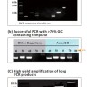 Набор для ПЦР AccuGO pfu PCR Kit, BiOptic