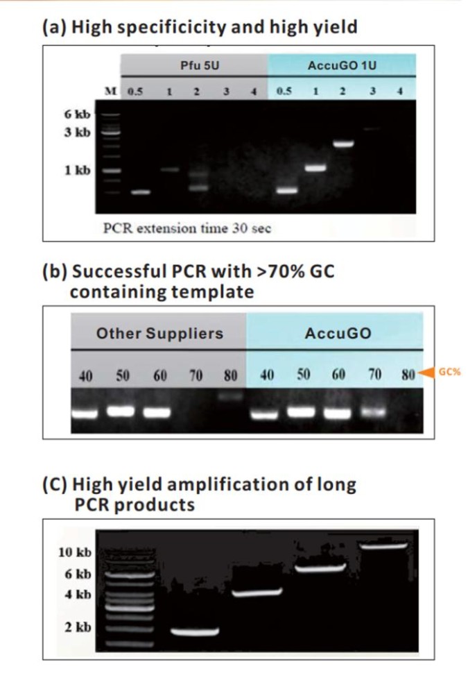 Набор для ПЦР AccuGO pfu PCR Kit, BiOptic