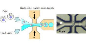 Система инкапсуляции клеток µEncapsulator, Dolomite Microfluidics