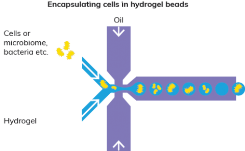 Система инкапсуляции клеток µEncapsulator, Dolomite Microfluidics