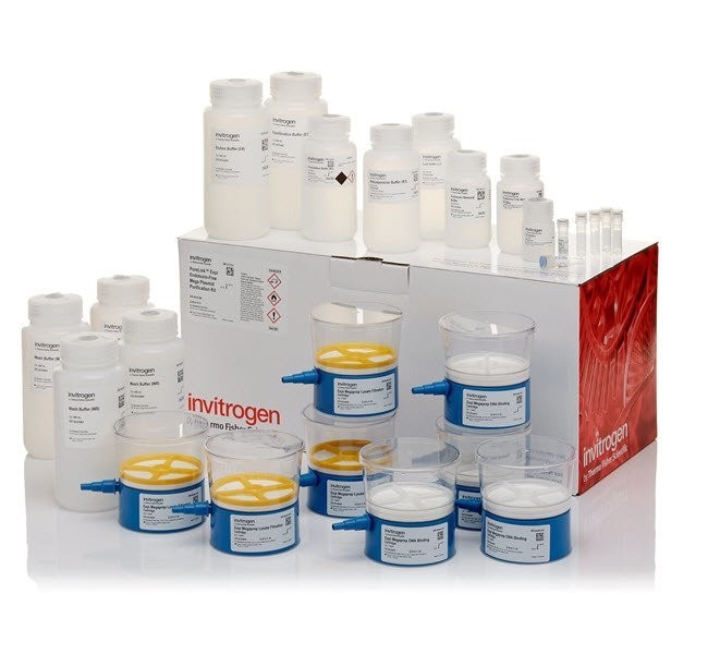 Набор PureLink Expi Endotoxin-Free Mega Plasmid Purification Kit, Thermo FS