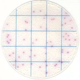 Тест-пластины KangarooSci для определения количества Salmonella, 12 шт./уп., Ringbio (аналог арт. 6421, 3M)