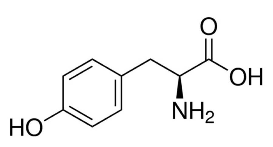Тирозин-L, 99 %, CDH