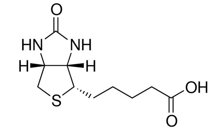 Биотин D(+), 99%, для биохимии, neoFroxx
