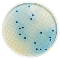 Среда для обнаружения фекальных колиформ, сухая среда, Merck (Millipore)