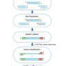 Набор для подготовки NGS библиотек VAHTS Universal DNA Library Prep Kit for Ion Torrent V2, Vazyme, Китай