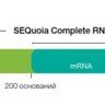 Набор для подготовки полнотранскриптомных библиотек РНК SEQuoia Complete Stranded RNA Library Prep Kit для платформы Illumina, Bio-Rad