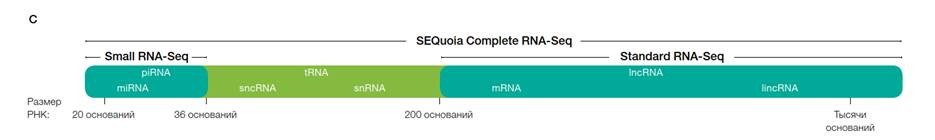 Набор для подготовки полнотранскриптомных библиотек РНК SEQuoia Complete Stranded RNA Library Prep Kit для платформы Illumina, Bio-Rad